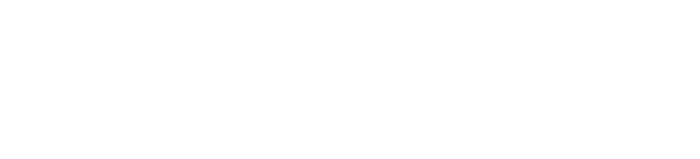 DataMetrics Technologies